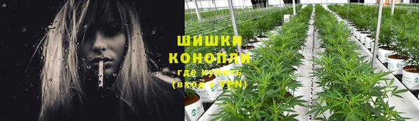 ПСИЛОЦИБИНОВЫЕ ГРИБЫ Богородицк