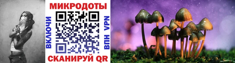 Галлюциногенные грибы MAGIC MUSHROOMS  Великий Устюг 